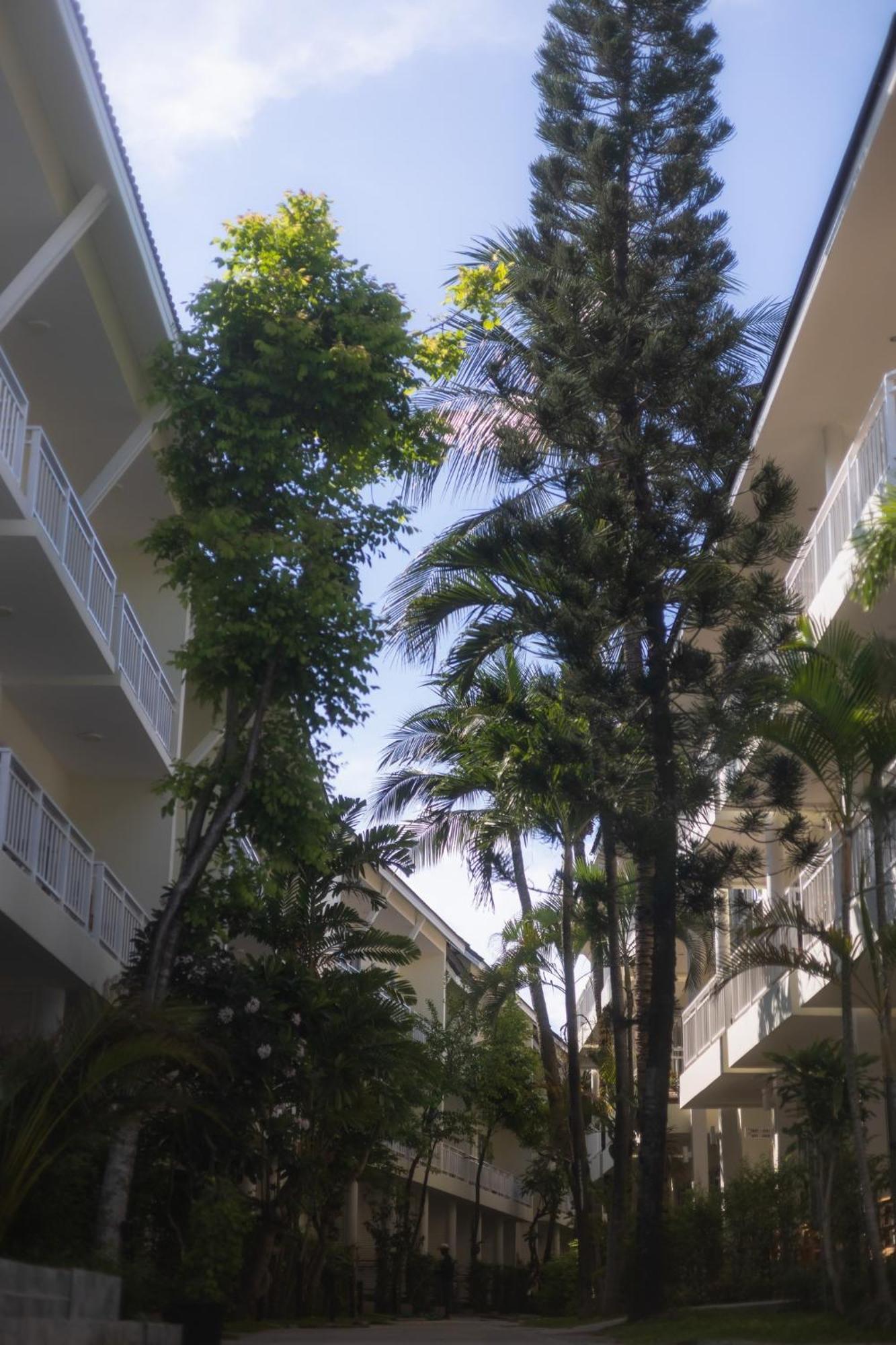 Ark Bar Hotel Strand von Chaweng