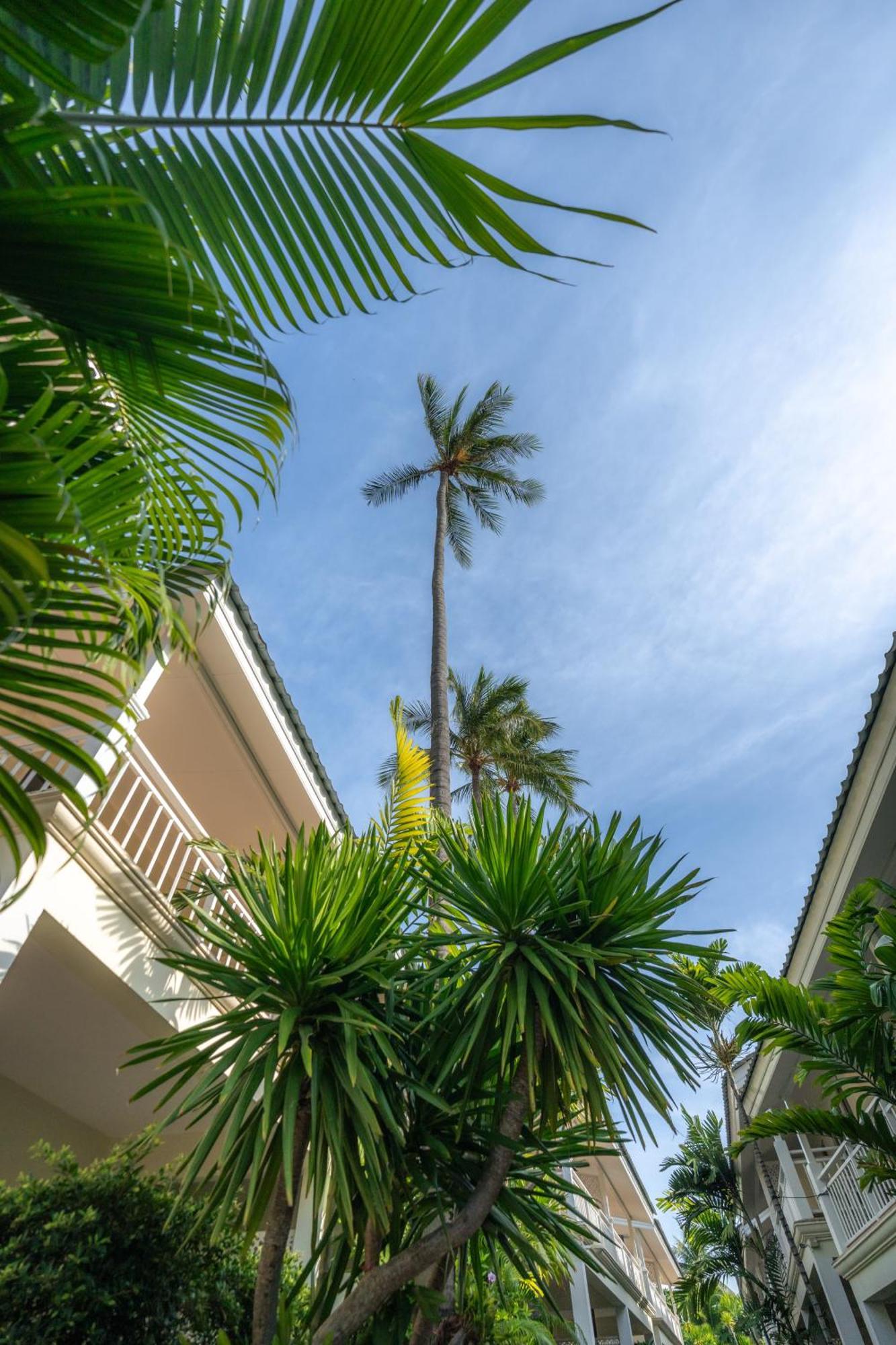 Hotel Ark Bar Strand von Chaweng